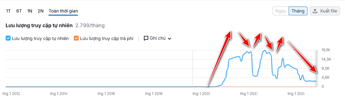 Tư vấn chăm sóc website cho khách hàng